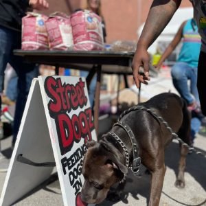 2ACC3F22-5D24-4B34-82F1-0349CA6285BF