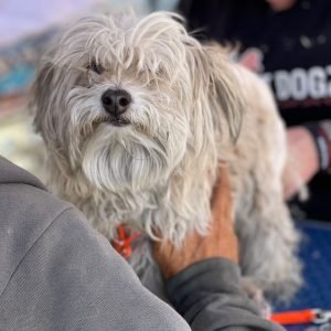 3BAA6883-8AEE-4445-AEF8-B925BA103AD8