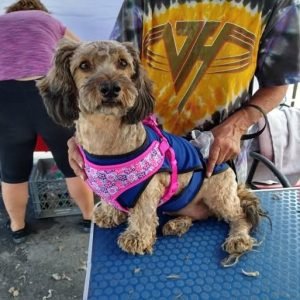 FB_IMG_1745102239177