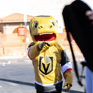 Golden Knights 12-05-24 Image 25